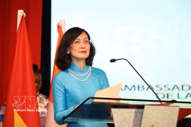 Vietnamese Ambassador to Morocco Le Kim Quy (Photo: VNA)