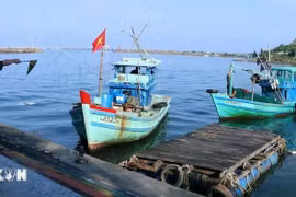 Officers of the Duong Dong Port Border Guard Station (Kien Giang province) carry out inspections of fishing vessels entering and exiting the Duong Dong River estuary in Phu Quoc city. (Photo: VNA)