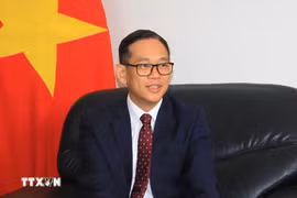 Vietnamese Ambassador to Algeria Tran Quoc Khanh (Photo: VNA)
