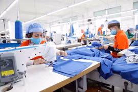 Workers produce apparel for export to Japan at the Hung Viet Garment Company in Hung Yen province. (Photo: VNA)