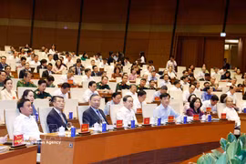 Party General Secretary and State President To Lam (3rd from left, first row) and other leaders at the conference. (Photo: VNA)