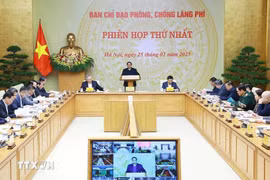 Prime Minister Pham Minh Chinh, Head of the Steering Committee for Wastefulness Prevention and Control, chairs the first meeting of the Steering Committee on February 25, 2025. (Photo: VNA)