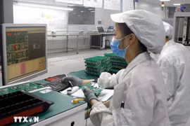 Workers of a semiconductor enterprise (Photo: VNA) 