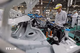 Preferential tariff policy aims to support domestic vehicle manufacturers and assemblers, particularly those producing environmentally friendly models. (Illustrative image. Source: VNA)