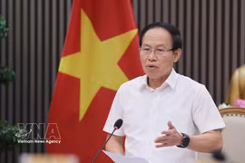 Deputy Prime Minister Le Tien Chau addresses the meeting (Photo: VNA)