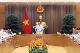 Deputy Prime Minister Le Tien Chau speaks at the meeting. (Photo: VNA)