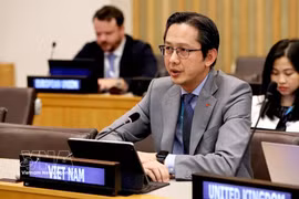 Ambassador Do Hung Viet, Permanent Representative of Vietnam to the UN, speaks at the annual session of the UN Women Executive Board, held in New York from June 23 to 25, 2026. (Photo: VNA)