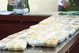A large quantity of narcotics seized as part of the case. (Photo: VNA)