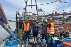 The Nghe An Border Guard has mobilised 500 officers and soldiers along with 3 ships, 8 boats and 30 cars ready to perform rescue missions. (Photo: VNA)