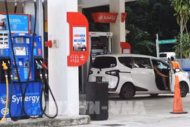 A petrol station in Singapore (Photo: Xinhua/VNA) 