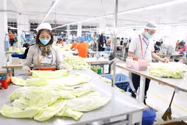 Producing garments for export at Hung Viet Garment Company in Hung Yen province. (Photo: VNA)