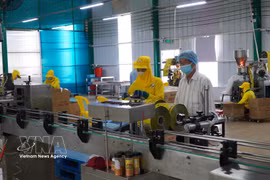 An enterprise in the southern province of Dong Thap invests in modern technologies and machinery for production. (Photo: VNA)