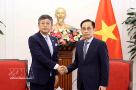 Gallery - Vietnam gains popularity among Indian tourists - image 12