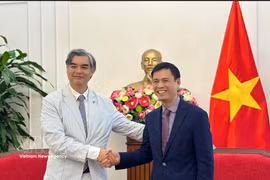 Deputy Minister of Foreign Affairs Dang Hoang Giang (right), who is also head of the ASEAN Senior Officials' Meeting (SOM) delegation of Vietnam, and EU Ambassador to ASEAN Sujiro Seam at their meeting in Hanoi (Photo published by VNA)