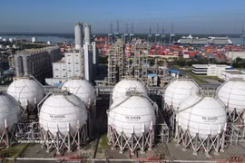 A view of the Hyosung chemical plant invested by the Republic of Korea (RoK) in Tan Phuoc ward, Ho Chi Minh City. (Photo: VNA)