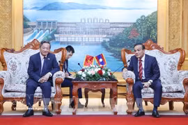 Vietnamese Ambassador to Laos Nguyen Minh Tam (L) meets with Secretary of the Vientiane provincial Party Committee and Chairman of the provincial People's Council Phouthanouphet Xaysombath on July 14. (Photo: VNA)