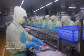 Workers process seafood for export at a plant in Ca Mau province. (Photo: VNA)