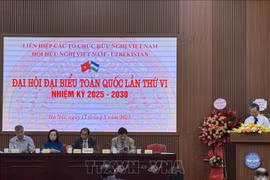 The Vietnam–Uzbekistan Friendship Association convenes its sixth national congress for the 2025–2030 term in Hanoi on May 17. (Photo: VNA)