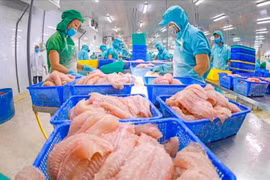 Workers process tra fish for export. (Photo: VietnamPlus)