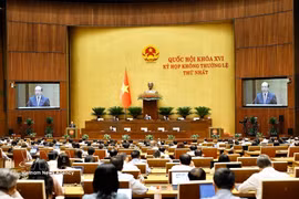 A plenary discussion of the 16th National Assembly's first extraordinary session (Photo: VNA)