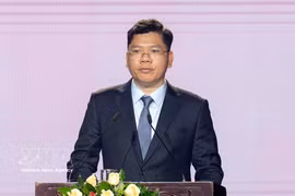 Vice Chairman of the People’s Committee of Ho Chi Minh City Hoang Nguyen Dinh speaks at the ceremony on August 21. (Photo: VNA)