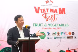 Cao Xuan Thang, Trade Counsellor and Head of the Vietnam Trade Office in Singapore, speaks at the festival (Photo: VNA)