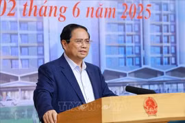 Prime Minister Pham Minh Chinh addresses the working session (Photo: VNA)