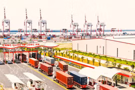 A view of Long An international seaport (Photo: VNA)