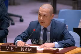 Minister Counsellor Nguyen Hoang Nguyen, Deputy Permanent Representative of Vietnam to the UN (Photo: VNA)