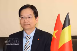Tran Ngoc Quan, Vietnam’s Trade Counsellor in Belgium and the EU. (Photo: VNA)