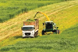 TH Group aims to reduce average annual GHG emissions by 15% at its farms and factories. (Photo: Courtesy of TH Group)