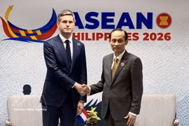 Minister of Foreign Affairs Le Hoai Trung (R) and his Dutch counterpart Tom Berendsen (Photo: VNA)