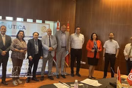 Participants in the conference (Photo: VNA)