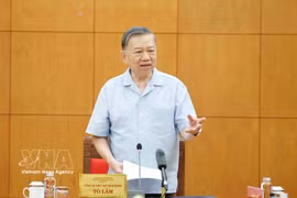 Party General Secretary and State President To Lam speaks at the working session with relevant agencies on developing the national maritime industry in Hanoi on July 14. (Photo: VNA)