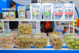 Grape, apple, and seaweed products from Trang Huynh Green Agricultural Facility in Phuoc Dinh commune, Khanh Hoa province at the 2025 Autumn Fair. (Photo: VNA)