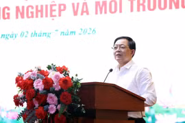 Deputy Prime Minister Ho Quoc Dung addresses the conference (Photo: baochinhphu.vn)