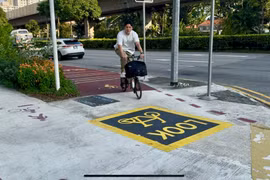 Cyclists must use the red lanes on the pavement (Photo: VNA)
