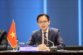 Permanent Representative of Vietnam to the UN Ambassador Do Hung Viet (Photo: VNA)