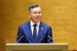 Minister of Finance Ngo Van Tuan (Photo: VNA)