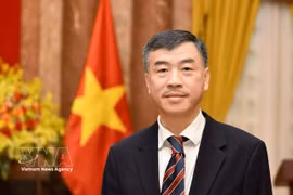 Vietnamese Ambassador to the Czech Republic Duong Hoai Nam (Photo: VNA)