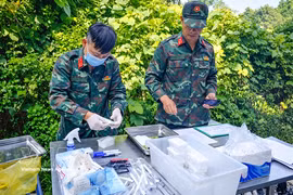 Collecting samples for DNA testing (Photo: VNA)