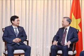 Party General Secretary To Lam (right) and Chairman of the Republic of Korea (RoK)–Vietnam Parliamentary Friendship Group Ahn Gyu-back (Photo: VNA)