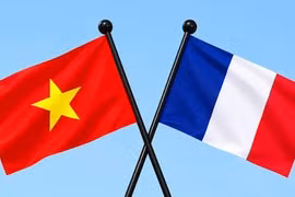 French Group sees new opportunities for Vietnam-France industrial cooperation