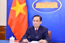 Vietnamese Minister of Foreign Affairs Le Hoai Trung.(Photo: VNA)