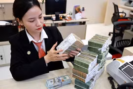 The daily reference exchange rate is at 25,093 VND/USD on November 3 (Photo: VNA) 