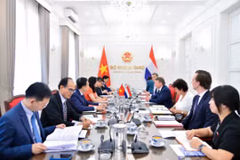 The second deputy foreign ministerial-level political consultation between Vietnam and the Netherlands in Hanoi on June 1 (Photo: Ministry of Foreign Affairs)
