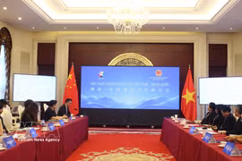 Participants attend the seminar on July 17 (Photo: VNA)