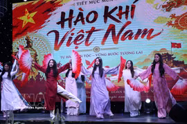 An art performance by young overseas Vietnamese during the Vietnamese language exchange programme (Photo: VNA)