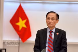 Foreign Minister Le Hoai Trung (Photo: VNA)