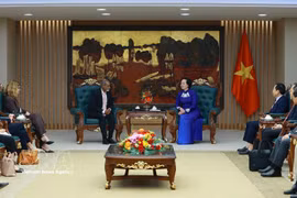 Deputy Prime Minister Pham Thi Thanh Tra (right) receives Regional Director of UNICEF's Asia-Pacific Regional Office (APRO) Sanjay Wijesekera in Hanoi on August 24. (Photo: VNA)